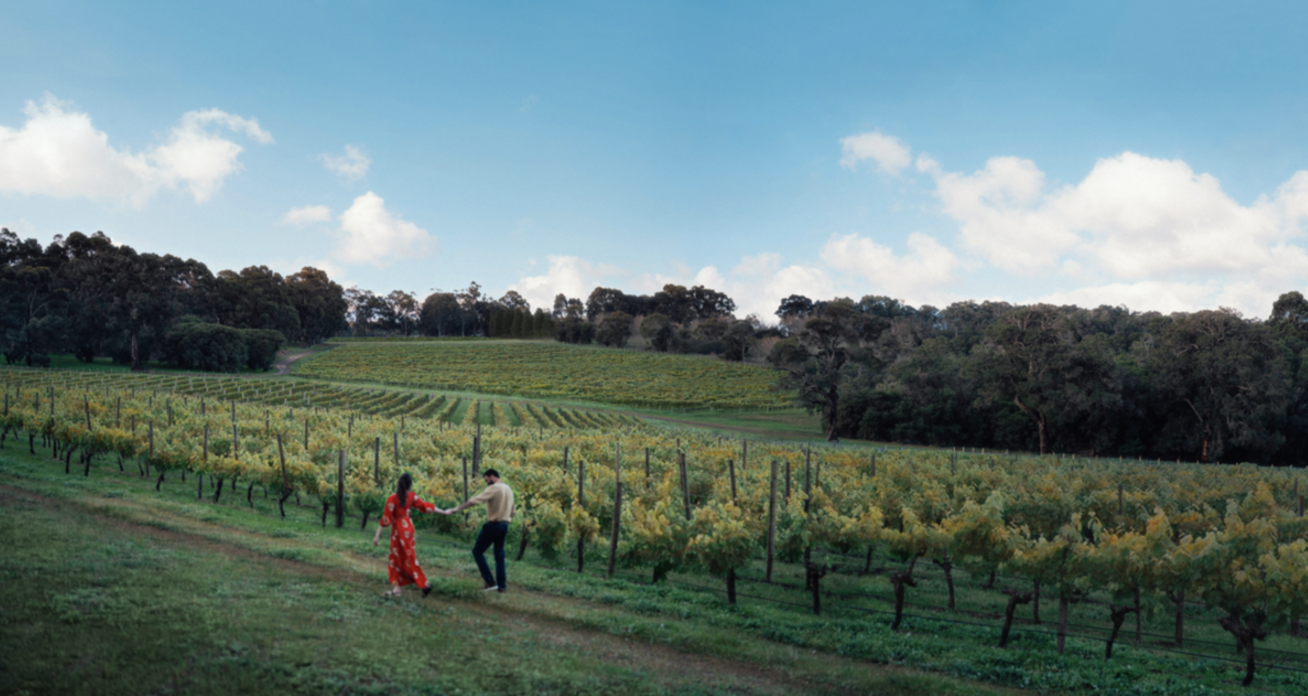 Screenshot 2026 02 26 at 12 02 47