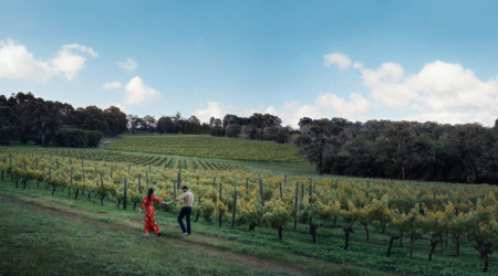 Screenshot 2026 02 26 at 12 02 47