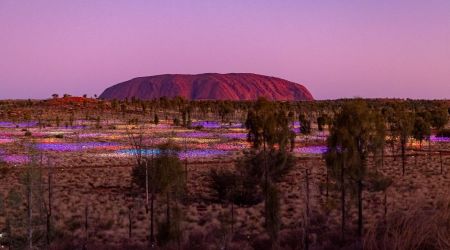 Uluru