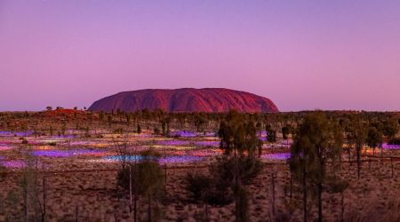 Uluru