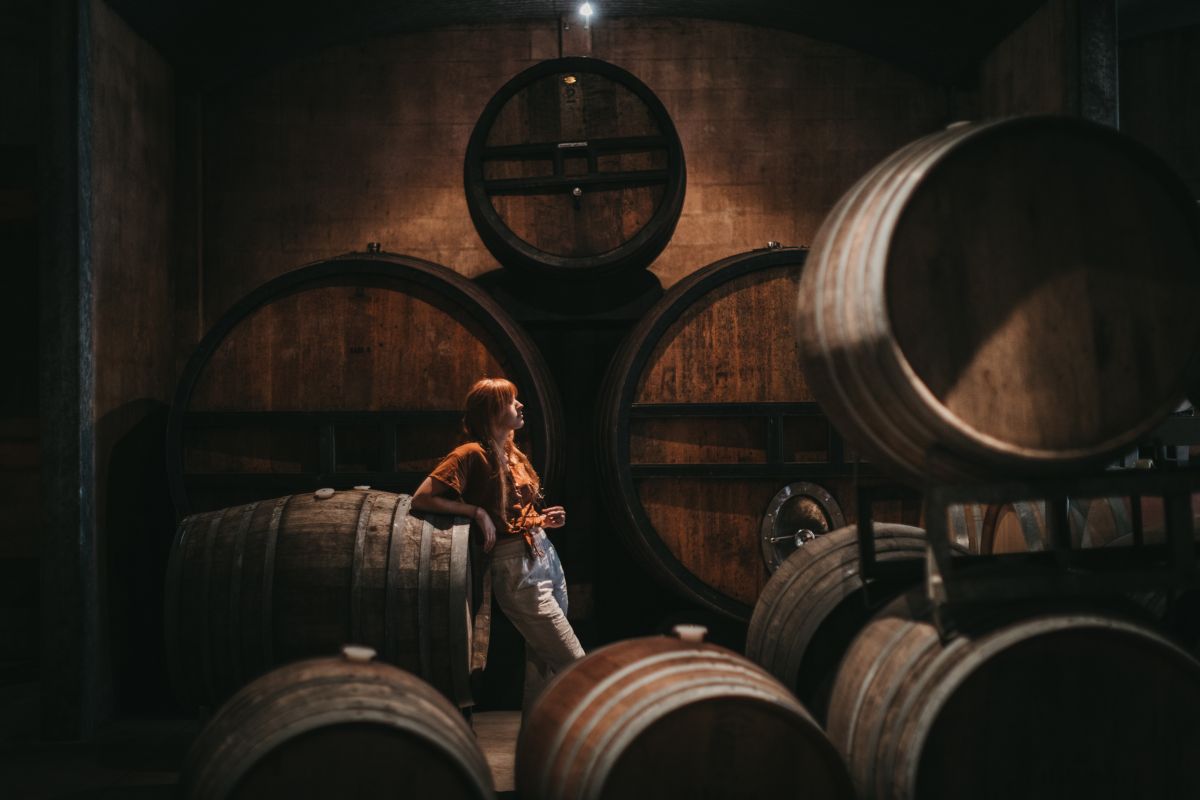 Pipers Brook Vineyard Tasmania