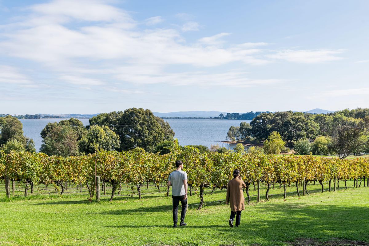 Websters Estate Yarra