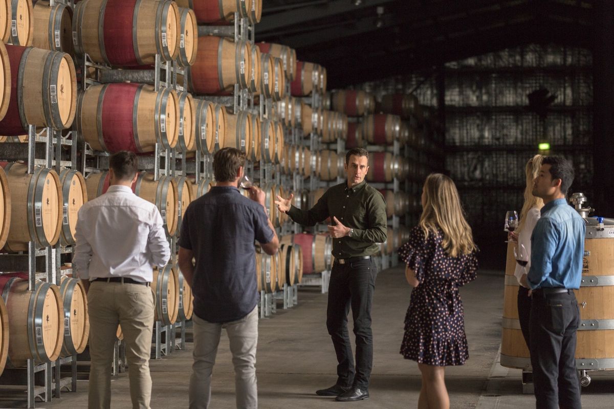 Vasse Felix Cellar Tour