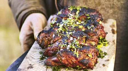 Tandoori venison