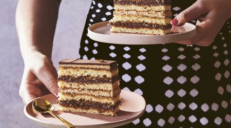 Cakes opera cake2