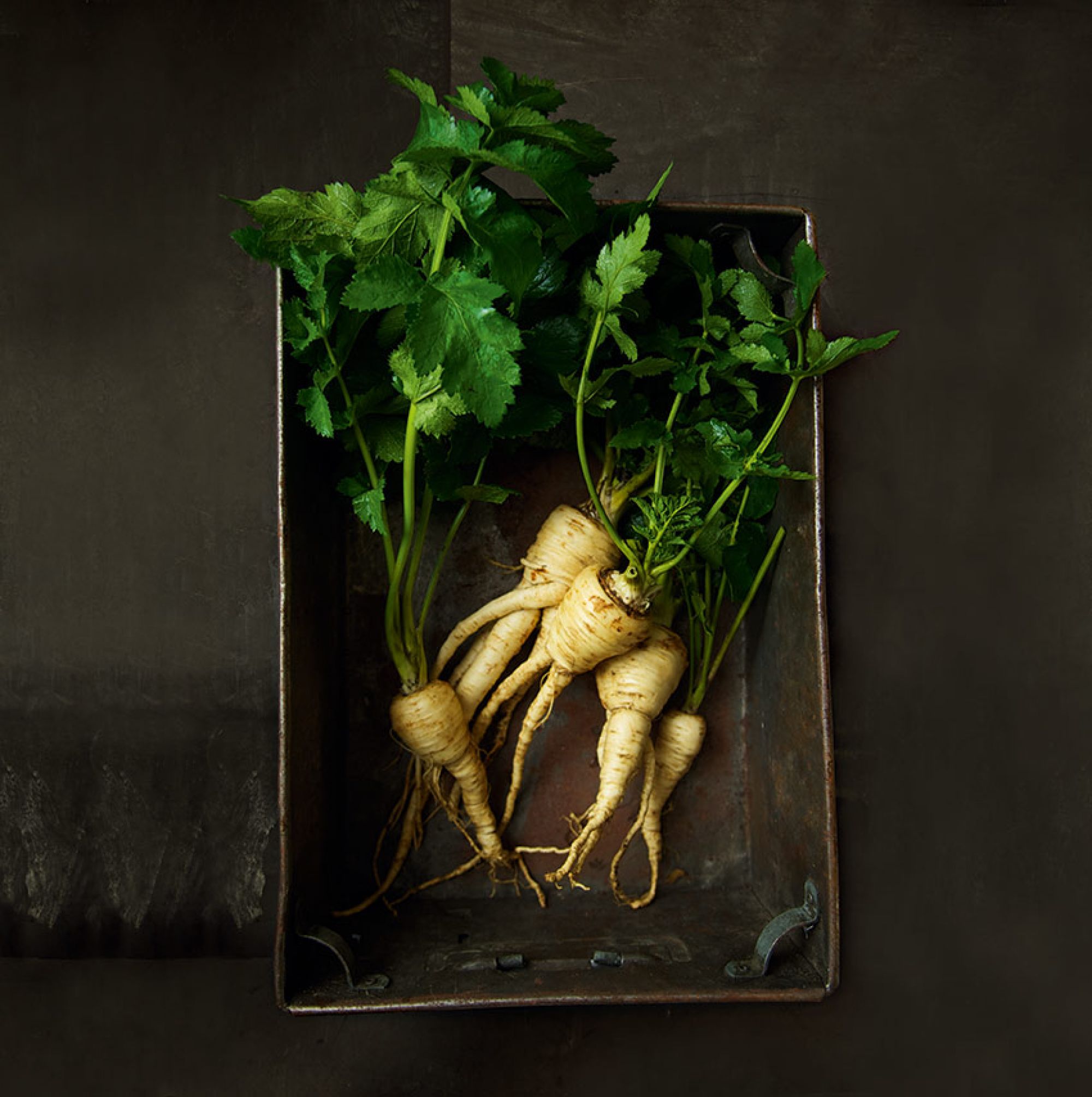 Parsnips