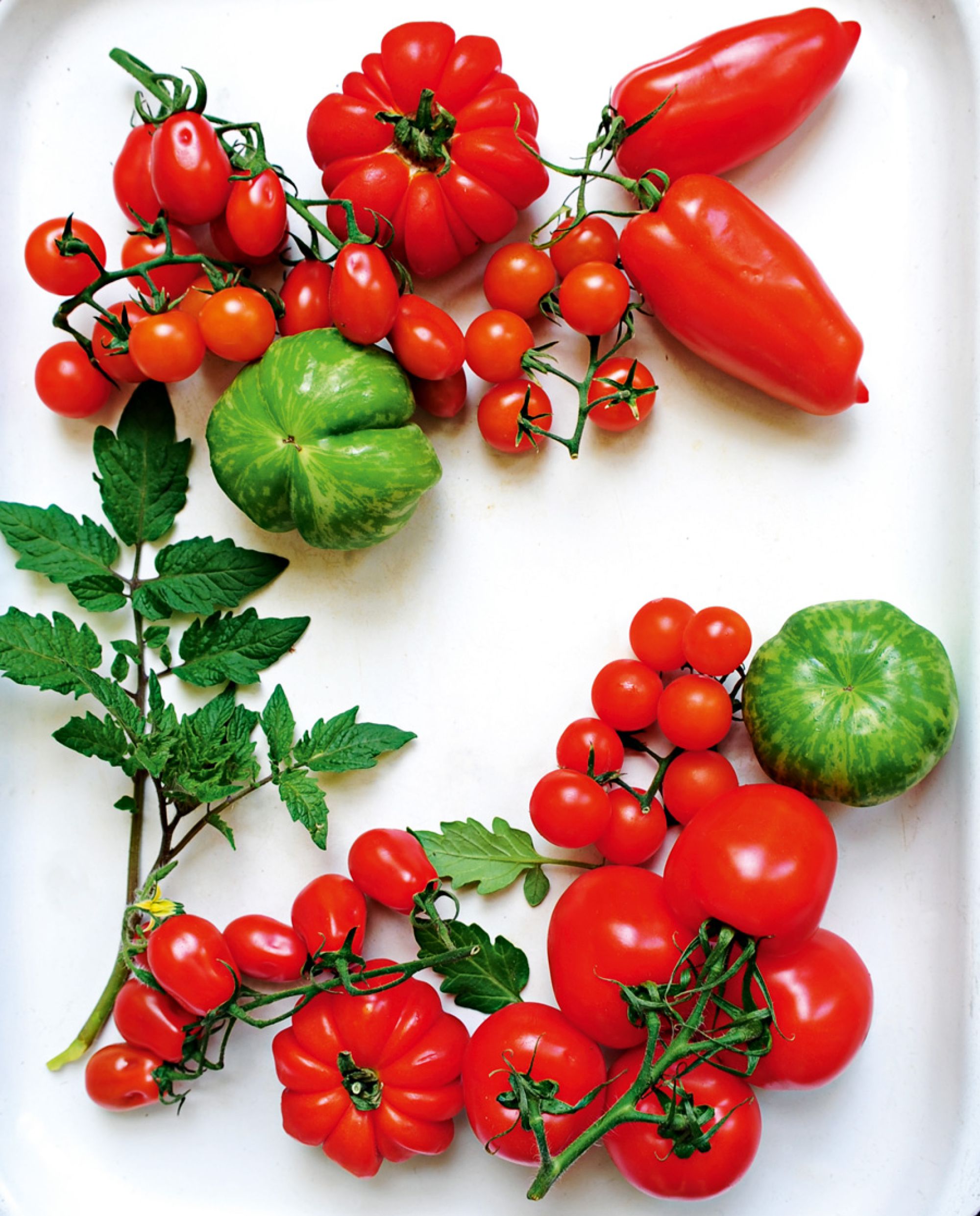 Tomatoes