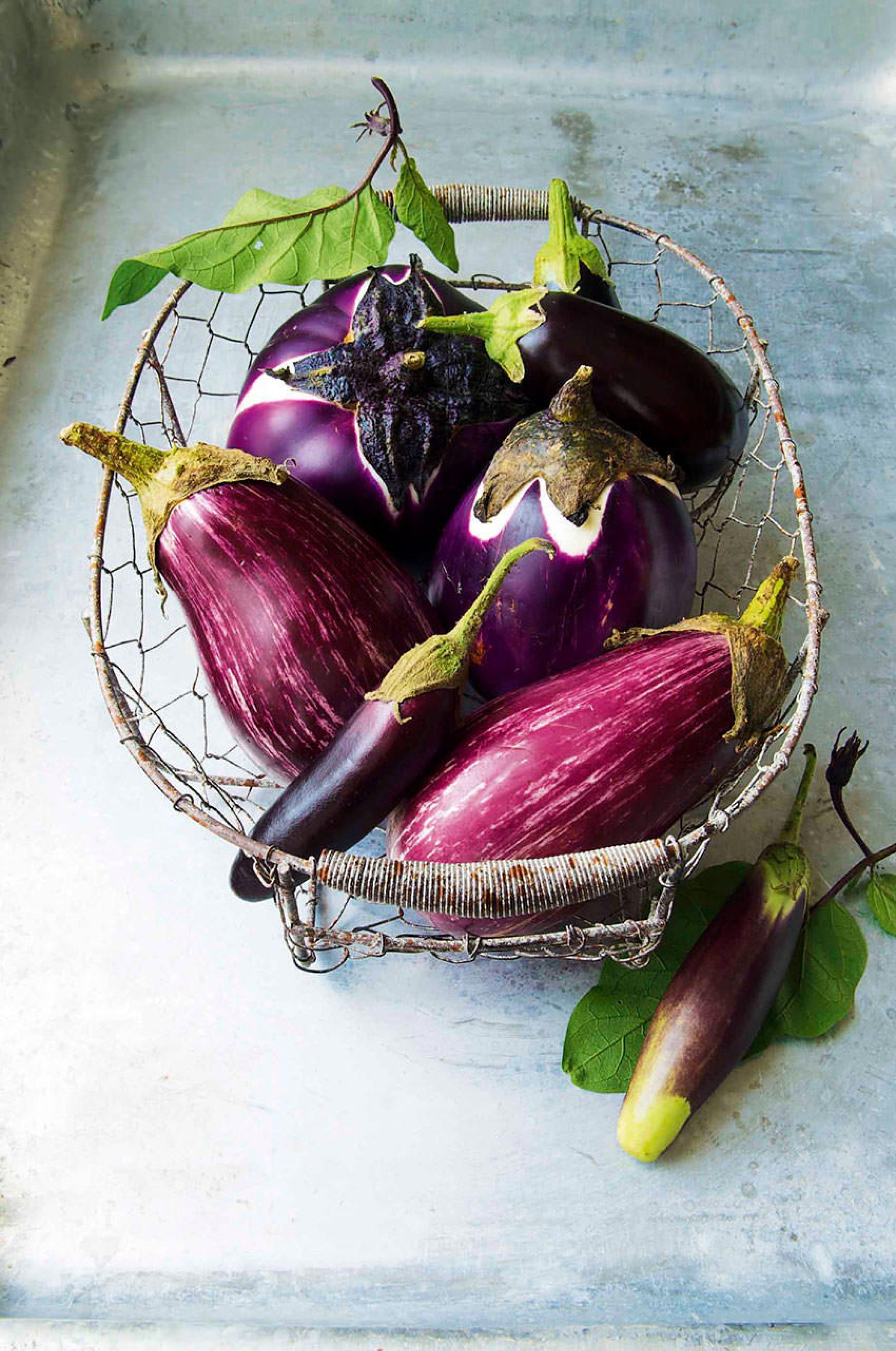 Aubergines (1 Of 1)