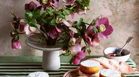 Strawberry Rhubarb Jam Victoria Sponges p 140